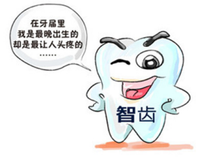 智齿4.png