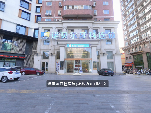  诺贝尔口腔碑林院(VR全景)